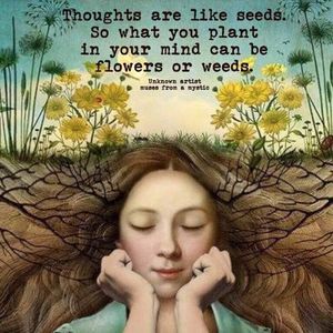 Meet your Posher, Lauri